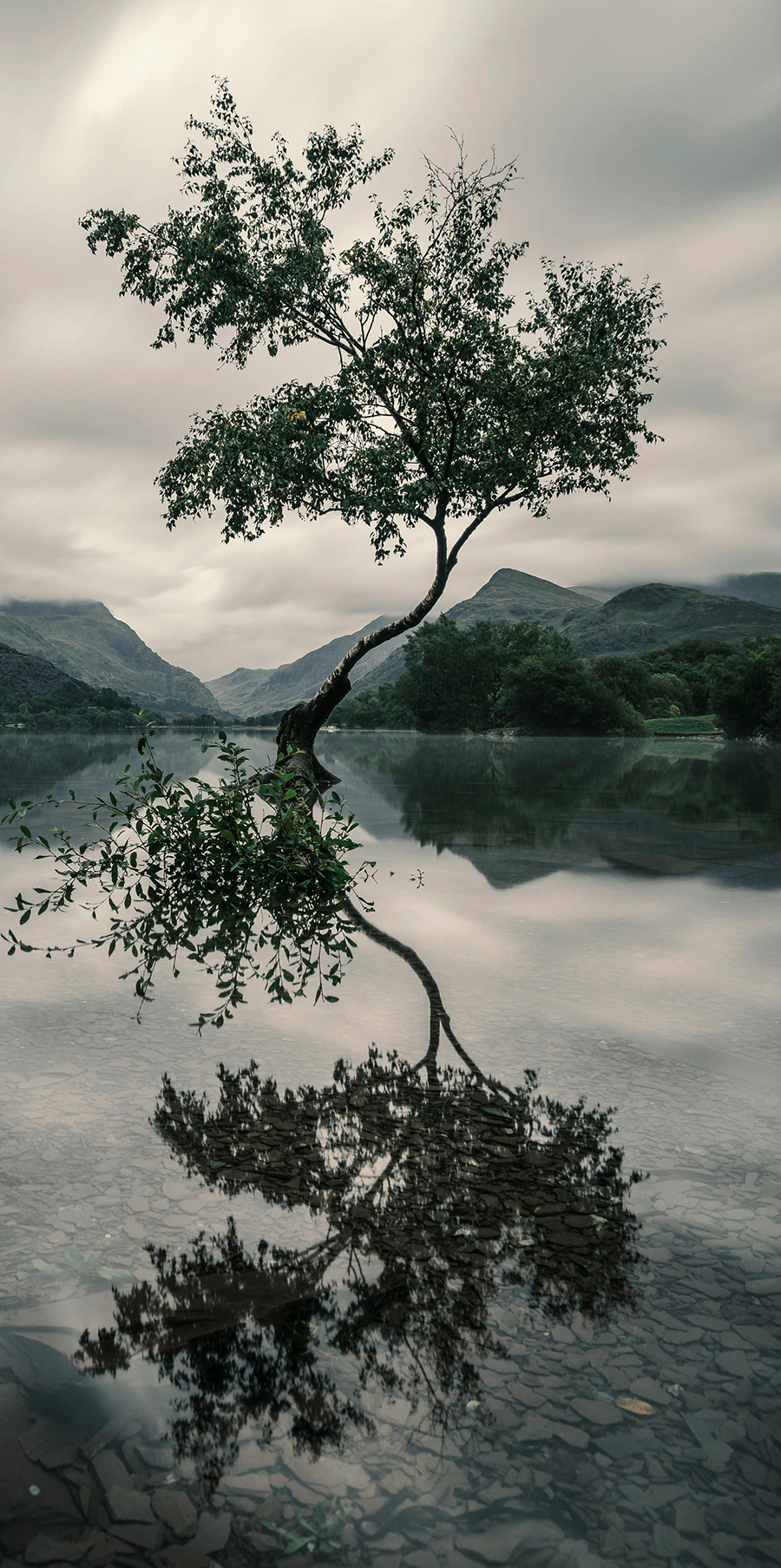 Branding grows from value stories