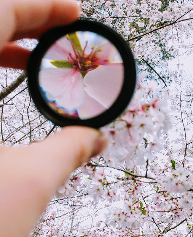 Branding grows from value stories